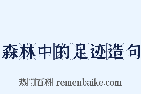 森林中的足迹造句是什么意思的图片